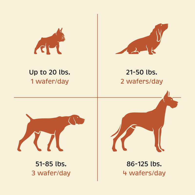 Health + Vitality for Dogs - Pet Supplement for Immune System, Coat, Liver Health & More - Dog Multifunctional Support with Choline, Calcium, Zinc, & Vitamins D and A - 90 Chewable Wafers - PawsPlanet Australia