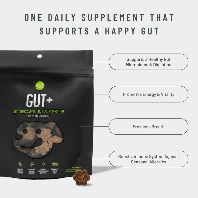 Get Joy Gut+ Probiotic Chews for Dogs, 90 Soft Chews, Chicken Flavor, Supports Digestive Health & Immunity, with Pre, Pro & Postbiotics, PhD Animal Nutritionist Formulated, Produced in USA Gut+ - PawsPlanet Australia