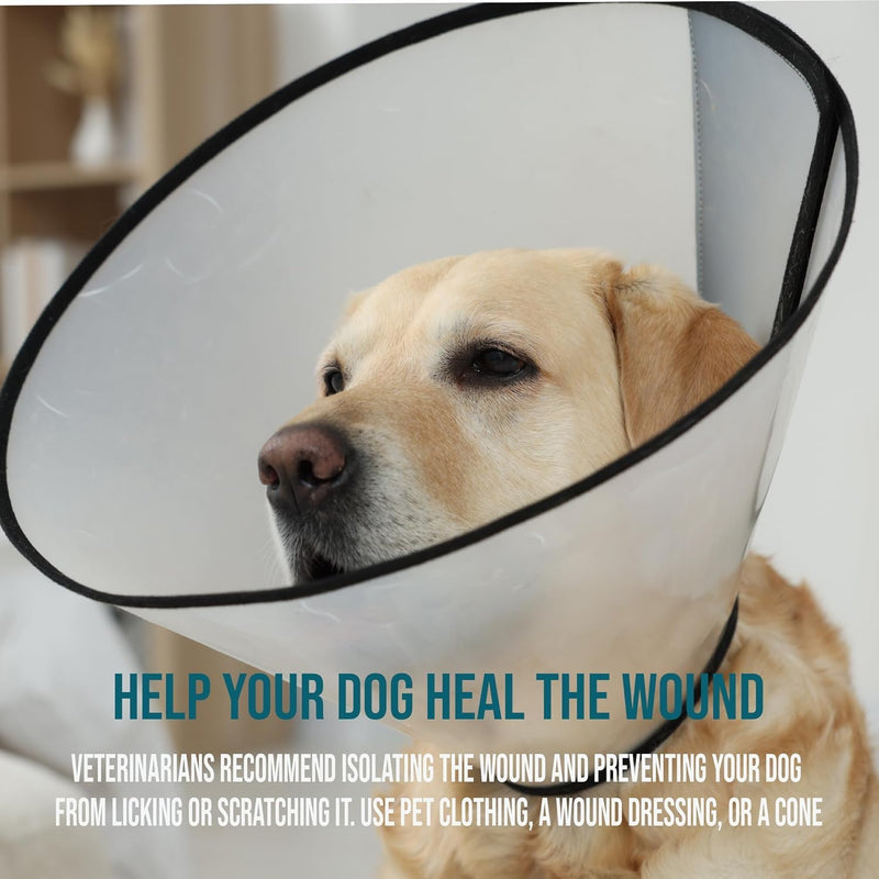 Forticept Hot Spot Treatment for Dogs kit