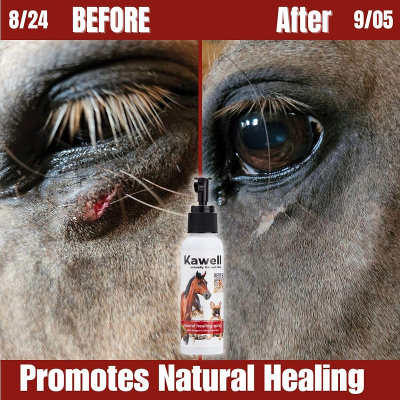 Kawell USA Dragon's Blood Extract Natural Healing Spray for Animal Skin and Wound Care, Healing Ointment & Antiseptic Spray for Injuries, Scrapes, Wounds, Rashes, Bites, and Other Skin Irritations - BeesActive Australia