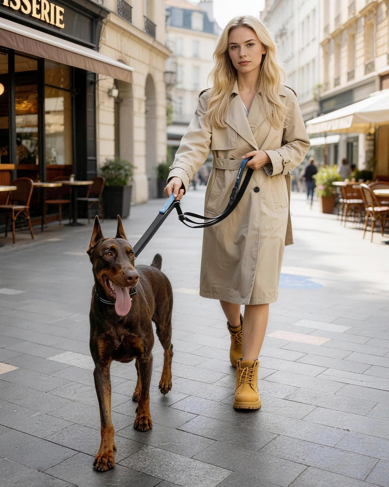 Reinforced Crossbody Dog Leash, 4–6ft Adjustable Multifunction Leash with Dual Padded Handles, Durable Nylon Lead Featuring Solid Metal Clips for Daily City & Park Walking - BeesActive Australia