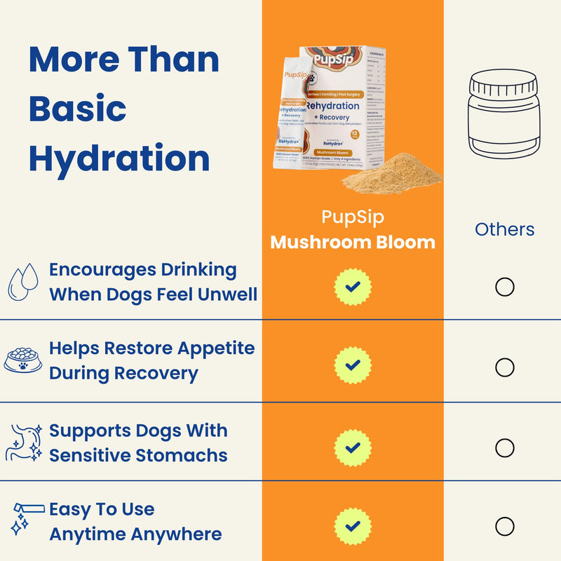 Dog Hydration Support – Helps During Stomach Upset, Vomiting & Diarrhea – Restores Appetite & Boost Energy with Electrolytes and Turkey Tail Mushroom, 12 Sticks