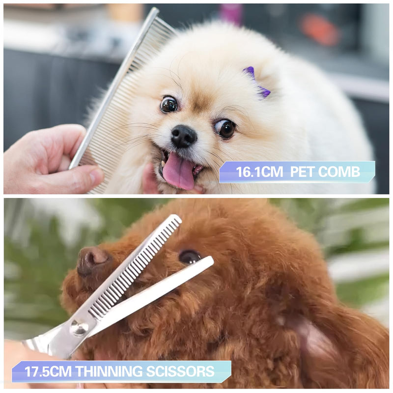 FINEASY Dog Scissors Set, Curved Dog Scissors, Grooming Scissors for Dogs and Cats, Includes Thinning Scissors, Curved Scissors, Grooming Comb, Stainless Steel Grooming Scissors for Dogs and Cats (Blue) - BeesActive Australia