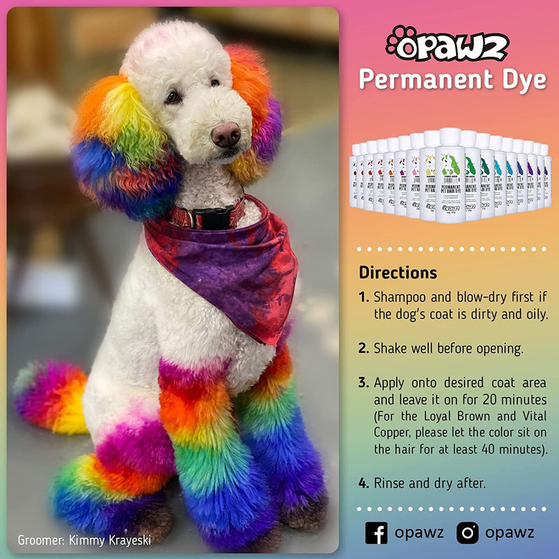 OPAWZ Permanent Dog Hair Dye, Pet Hair Dye Safely Used by Grooming Salons for a Decade, Pet Safe Dye Lasts Over 20 Washes, Bright Color for Dogs and Horses (Adrian Pink) Adrian Pink - BeesActive Australia