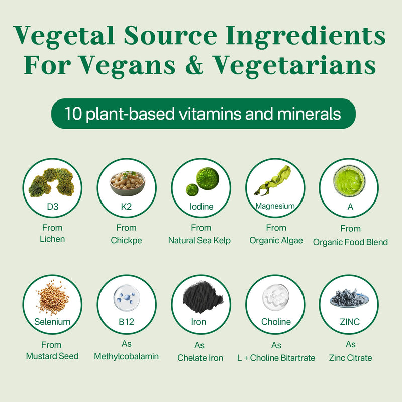 Vegan Multivitamin Gummies for Adults, Vegans & Vegetarians Daily Vitamins | with Methyl B12, D3 K2, Plant Based Omega 3 (DHA+EPA), Iron, Choline, Zinc, Whole Food Vitamins Gummies, Sugar Free, 60 Cts 60 Count (Pack of 1)