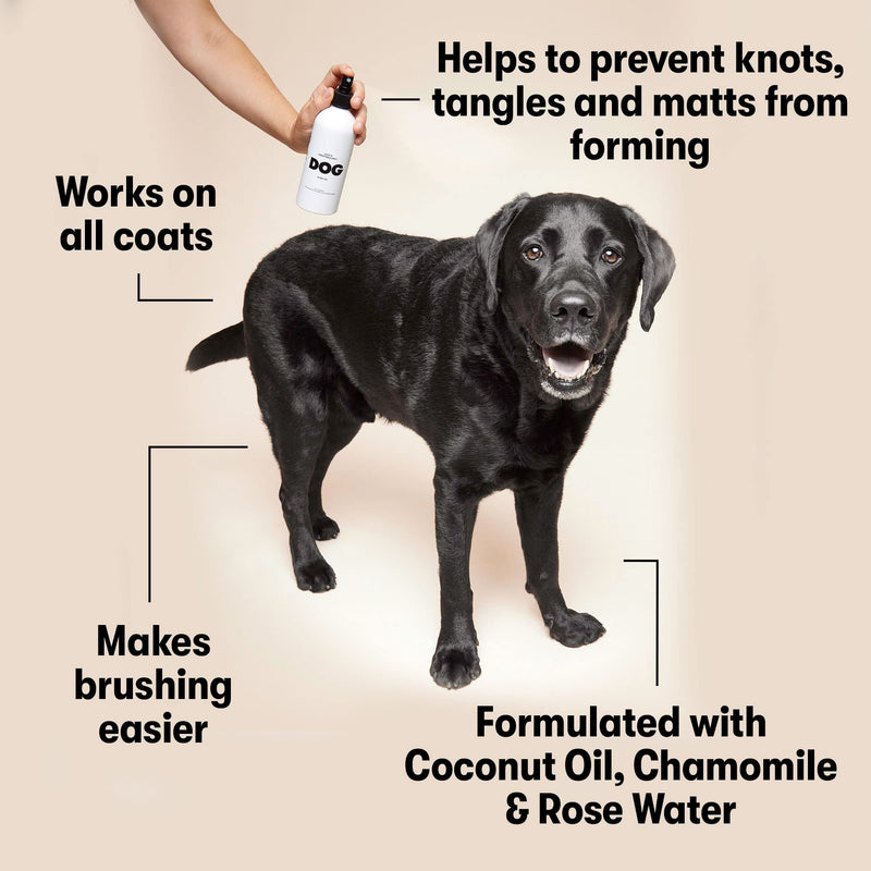 DOG by Dr Lisa - Leave in Conditioner Spray - Dog Coat Detangling and Dematting Spray - No-Rinse Conditioner for Dog Grooming - Reduce Knots & Tangles - Plant Based, Vegan Friendly - PawsPlanet Australia