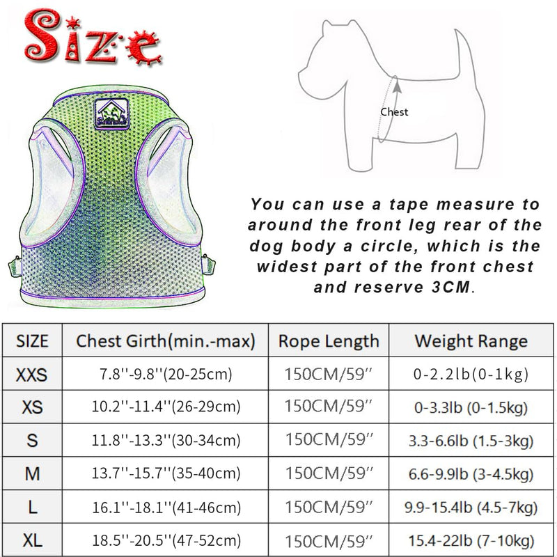FEimaX Dog Harness with Leash for Small Medium Dogs Cats Soft Mesh Puppy Harness Breathable Chest Harness Adjustable Reflective No Pull Vest Chihuahua Cat XS (Chest 26-29cm) Blue - BeesActive Australia
