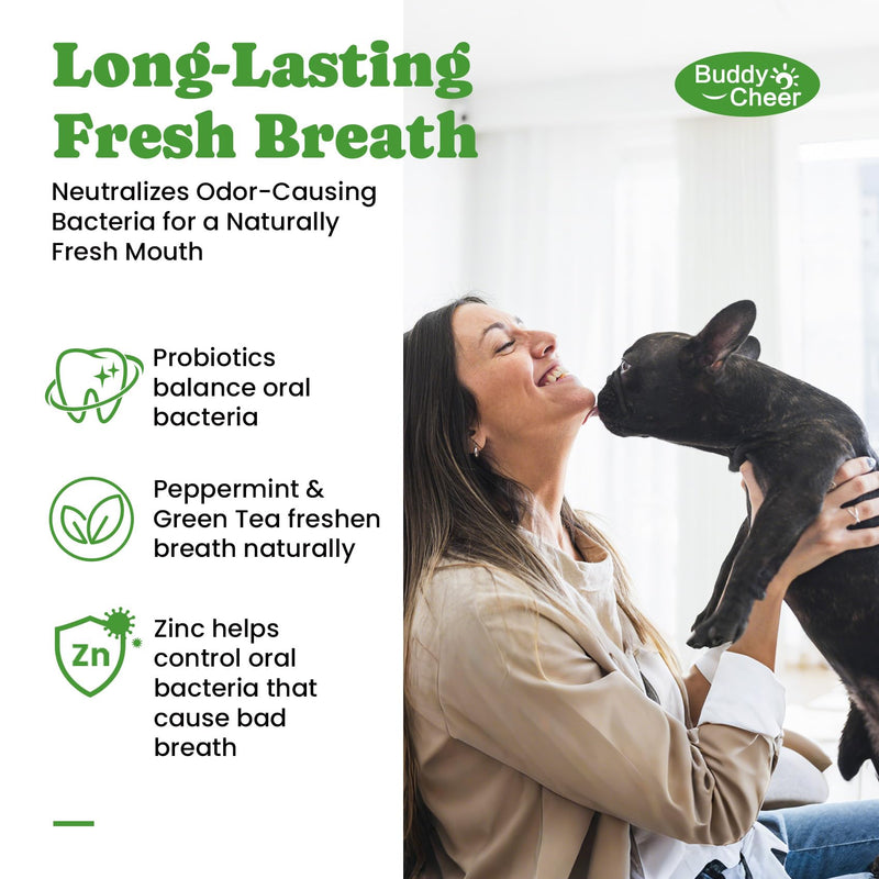 Dog Teeth Cleaning Powder, Dog Dental Powder and Cats Breath Freshener, Plaque Off Pet Tooth Cleaning lab co, Bad Breath & Tartar Remover for Dogs, Dog Teeth Cleaning with Enzymes- 60-Day Supply -Mint 5.29 Ounce (Pack of 1)