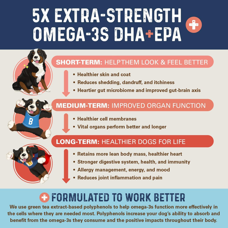 Bernie’s OMG!!! Omegas 5X Extra Strength Omega-3s DHA+EPA, Chews with Fish Oil for Dogs, Ultimate Skin & Coat, Works as Dog Allergy Chews, Dog Calming Chews, Joint Supplement. (Salmon) Salmon - BeesActive Australia