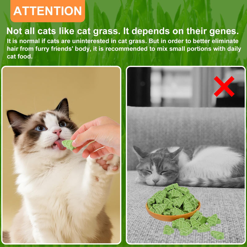 90g Cat Grass for Indoor Cats, Cat Grass Treats, Natural Freeze Dried Kitty Treats, Hairball Treatment for Cats, Edible Kitty Chew Toy Snack for Teething Hairball Removal 3.17 Ounce (Pack of 1)