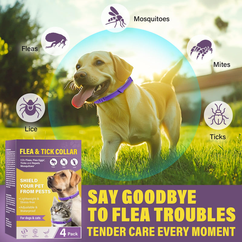 Dog collar, cute cat collar, against ticks, fleas and mosquitoes, waterproof animal collar, one year long-term protection - BeesActive Australia