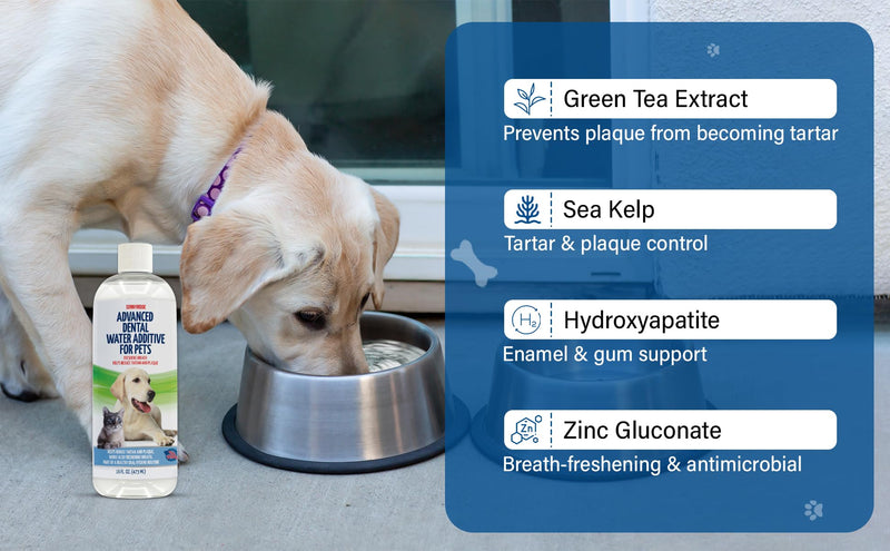 Dog Dental Water Additive – Dog Breath Freshener & Teeth Cleaner, Eliminates Bad Breath, Controls Plaque & Tartar, Gum Health Support, No Toothpaste or Brushing, Tasteless & Odorless