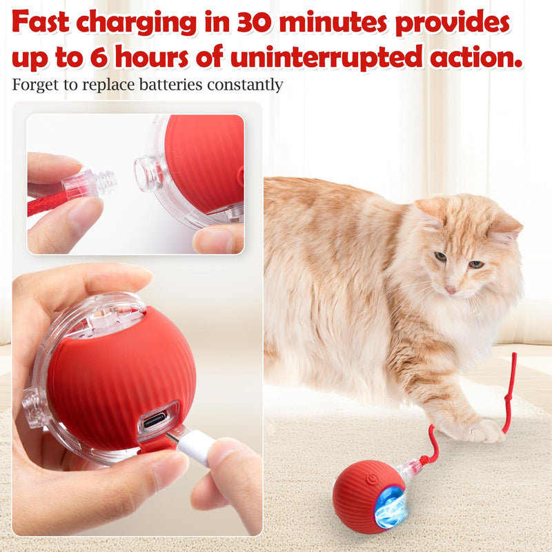 Interactive Cat Toy - Cat Toys for Indoor Cats Smart Silicone Rolling Ball with Tail,Bird Sound,Obstacle Avoidance and Motion Activated,Kitten Puzzle Toys for Bored Indoor Adult Cats & Dogs (Red) Red - BeesActive Australia