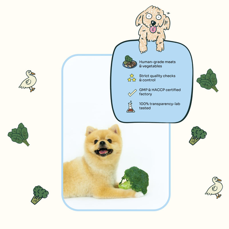 Notti Dental Chews for Small Breed Dogs – Plaque & Tartar Control Dental Sticks, Teeth Cleaning Oral Care Treats, Fresh Breath & Healthy Gums – Duck, Spinach & Broccoli