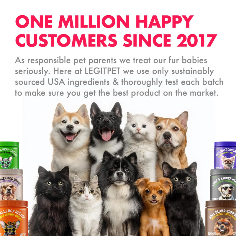 Liquid Iron Supplement for Cats & Dogs B12 + B-Complex + Probiotics Liquid Iron Vitamin Drops for Anemia & Low Energy Promotes Red Blood Cell Health All Ages & Breeds Bacon Flavor 4 oz