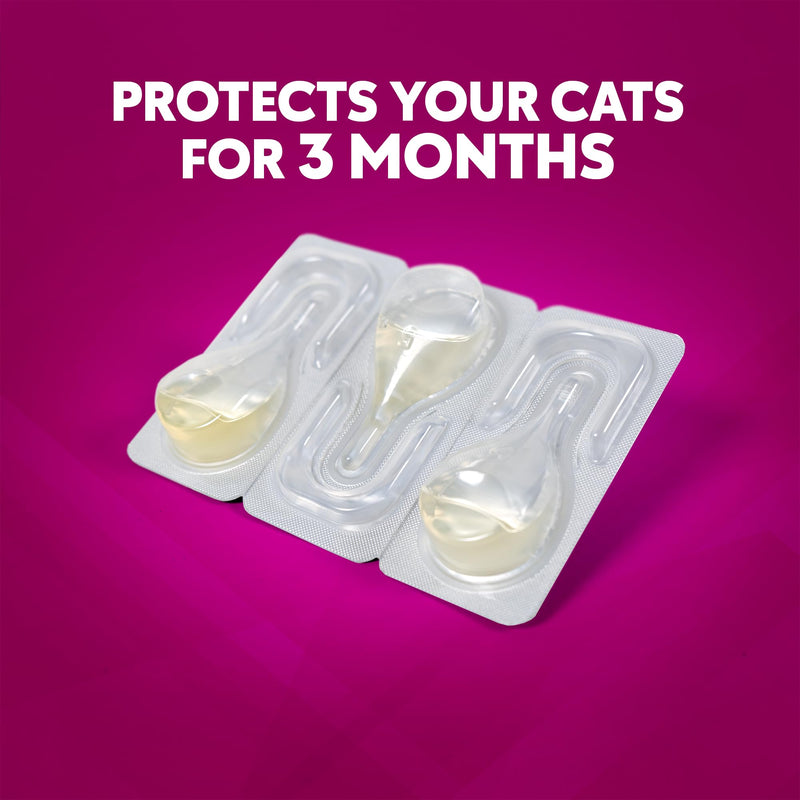 Plus Flea and Tick Prevention for Small Cats – Flea & Tick Prevention for Cats Over 1.5lbs (3 Doses) - BeesActive Australia