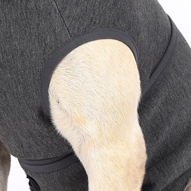 Dog Anxiety Vest Breathable Calming Dog Anxiety Relief Comfort Dog Wrap Anxiety Shirt Keep Calm Clothes for Anxiety Stress Relief - BeesActive Australia