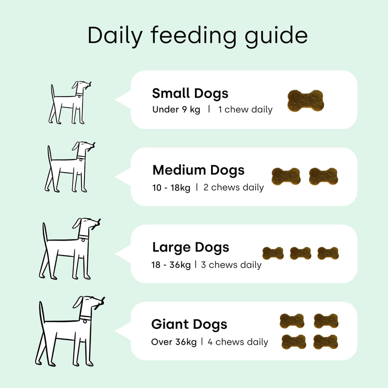 Scooch All-In-One Dog Multivitamin, 60 Tasty Crunchy Chews Even Fussy Dogs Eat | Daily Supplement Supporting Skin, Coat & Joints | Plant-Based Peanut Butter & Coconut | For Dogs from 12 Weeks Adult