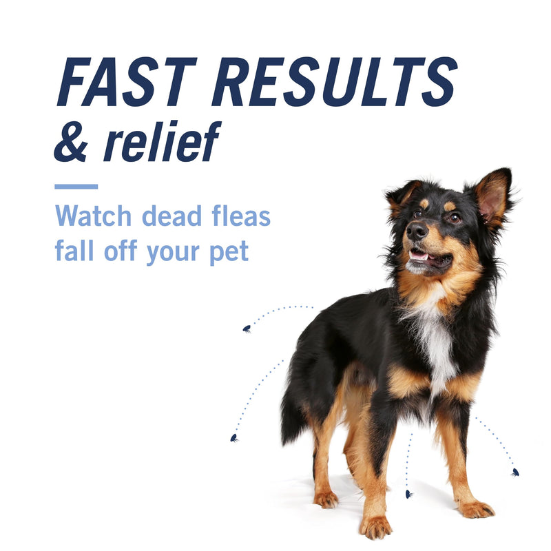 PetArmor Plus Small Dog 6ct (5–22 lbs) + PetArmor CapAction Small Dog 6ct (5–22 lbs) Treat and Prevent Bundle – Fast Acting and Long Lasting Flea and Tick Care