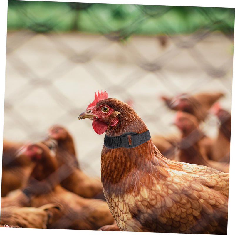 4pcs Neck Pet Collar Nylon Chicken Collar Rooster Neck Collar No Crow Rooster Band -Noise Collars Nylon Roosters Collars Noise Rooster Collar Poultry 2 Pack - BeesActive Australia