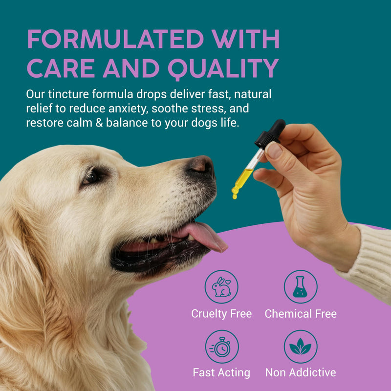 Valerian Dog Calming Drops - 100% Natural Herbal Dog Anxiety Relief Calmer, Skullcap and Valerian Drops for Dogs, Use for Stress, Separation, Sleep & Fireworks Calming for Dogs | 50ml