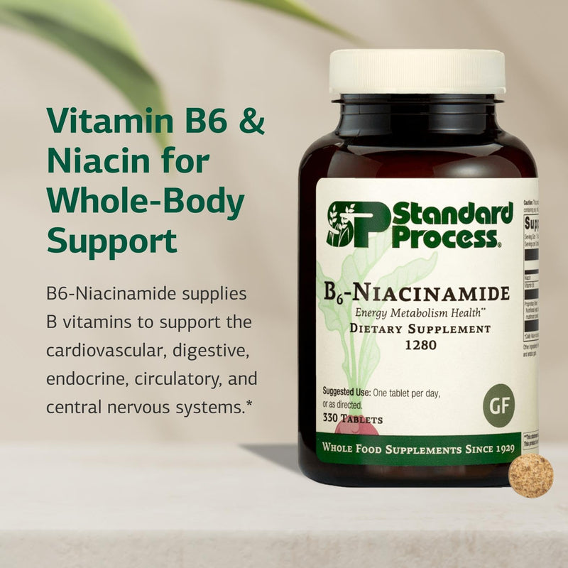 Standard Process B6-Niacinamide,Vitamins B Energy Metabolism, 330 Tablets | Energy Metabolism Health Support Supplement, Cardiovascular Support, Gluten-Free, Non-Dairy and Non-Soy 1 Count (Pack of 330)