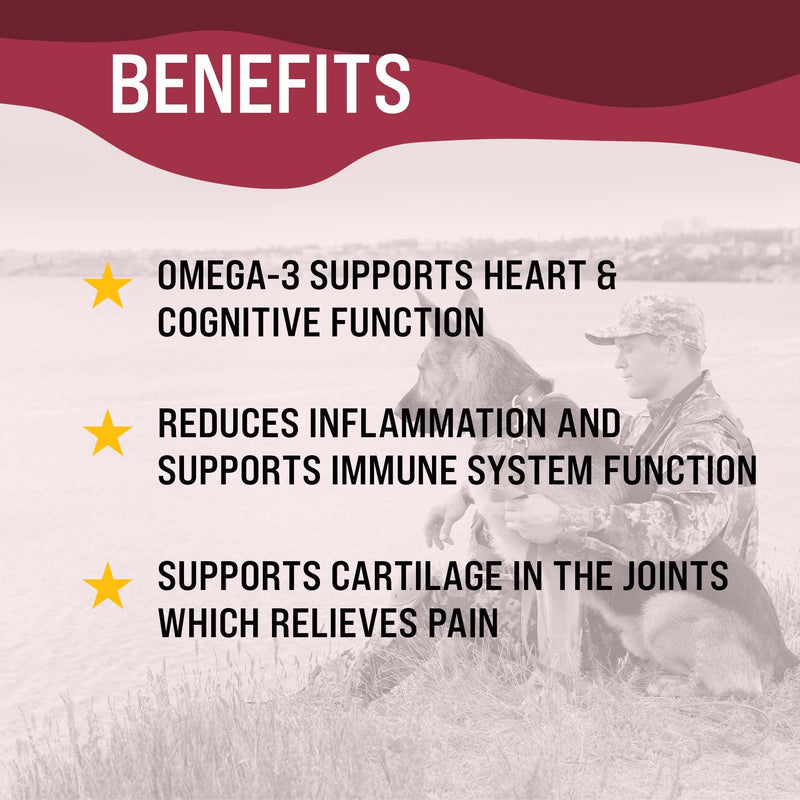 VetraHealth Omega-3 Complete Skin, Joint, Cognitive & Immune System Support for Dogs – Omega-3 Fish Oil, EPA & DHA – 60 Count (Small & Medium Dogs) Small & Medium Dogs - PawsPlanet Australia