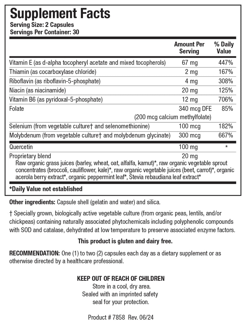 BIOTICS RESEARCH TolerAid – Designed and Clinically Tested by Dr. Mark Force, Supports Healthy Functioning of Liver Detoxification Pathways, Urea Cycle, Methylation. Vitamin E, Riboflavin 60 Capsules