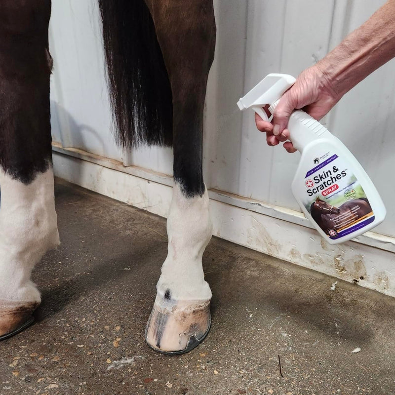 Show Out Skin & Scratches 4 oz Concentrate - Fast Relief and Prevention for Horse Care. Use on Equine Scratches/Mud Fever, Girth Itch, Mange, Thrush, Rain Rot, Ringworm, etc w/Empty Spray Bottle 32 fl oz - PawsPlanet Australia