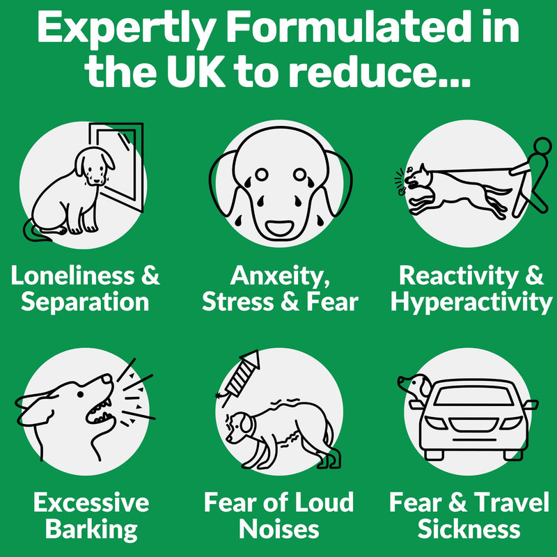 NutriPaw Calming Treats For Dogs - Reduce Stress, Fear, Separation, Barking, Hyperactivity, Reactivity, Aggression, Travel - Calm without Drowsiness dogs Single Pack
