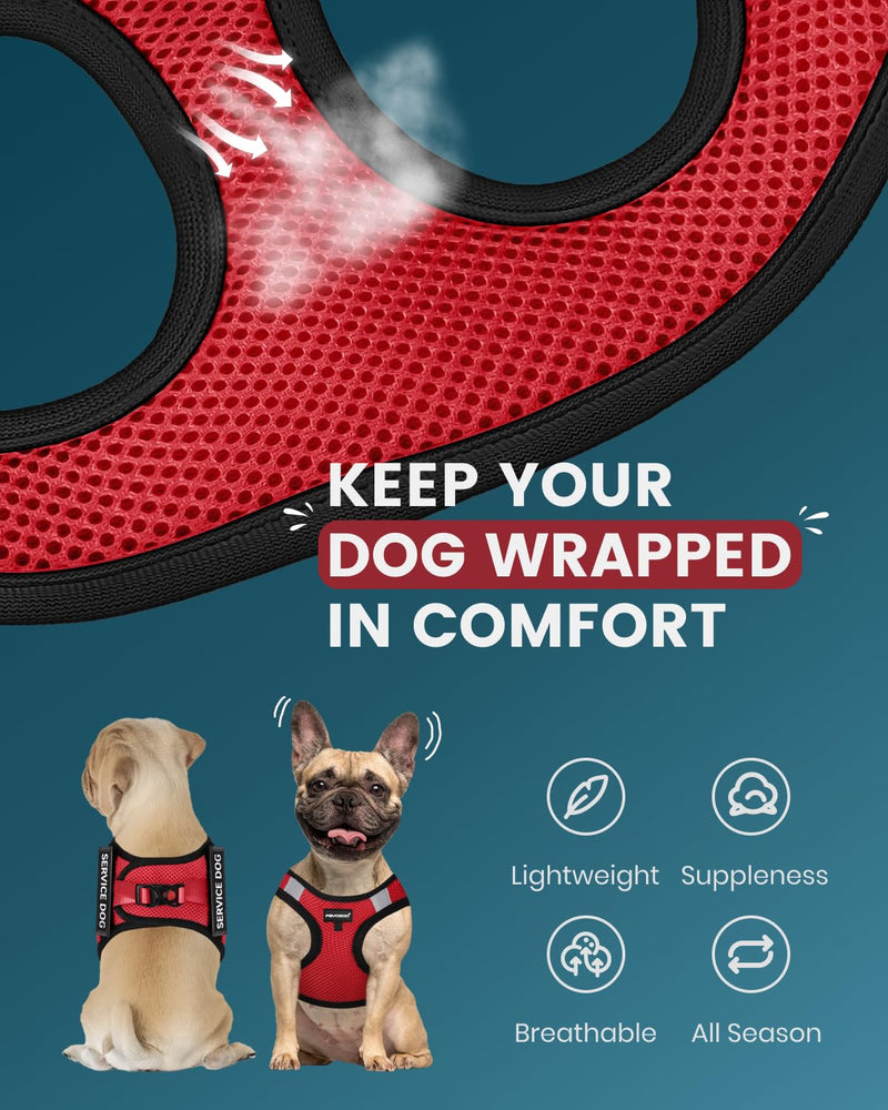 FAYOGOO Service Dog Vest for Small Breed - Lightweight Dog Harness with 6PCS Removable Patches - Puppy Harness and Leash Set for Walking,Training Red S(Chest 12''-14'') - BeesActive Australia