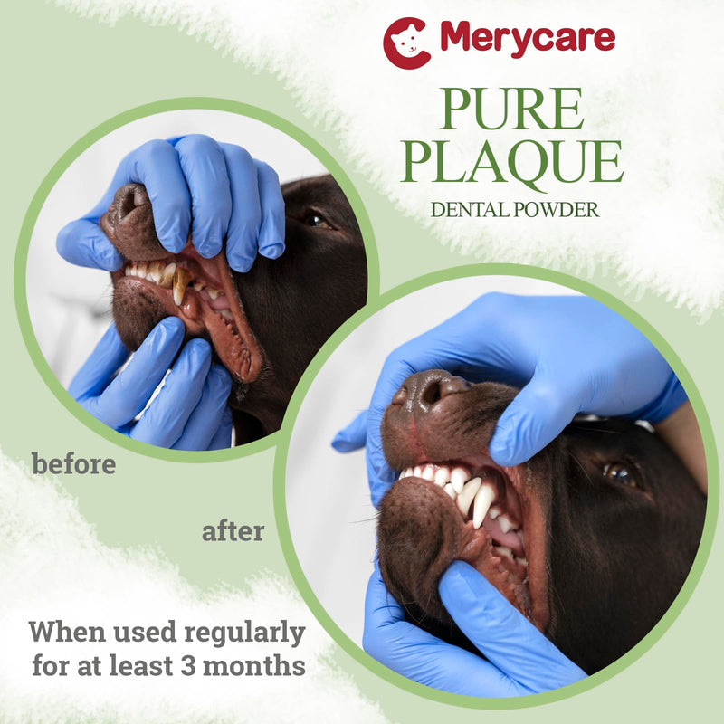 Pure Plaque Off Vet-Approved Dental Powder for Dogs & Cats | 100% Natural Teeth Cleaner with Seaweed | Plaque & Tartar Remover | Freshens Breath | No Brushing Needed (50g)