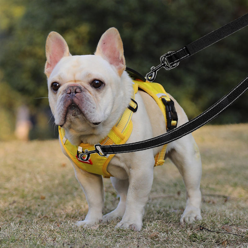 Two Point Control Dog Leash Double Dog Leash Reflective Walking No Tangle Dog Training Leash Dual Reflective Dog Leash No Pull Padded Handles for 2 Dogs - BeesActive Australia