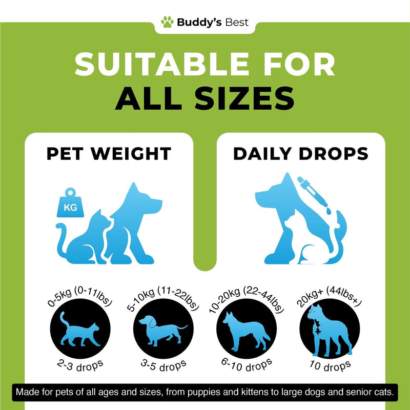Digestive Intestinal Support for Dogs & Cats + Flea & Tick Protection for Dogs