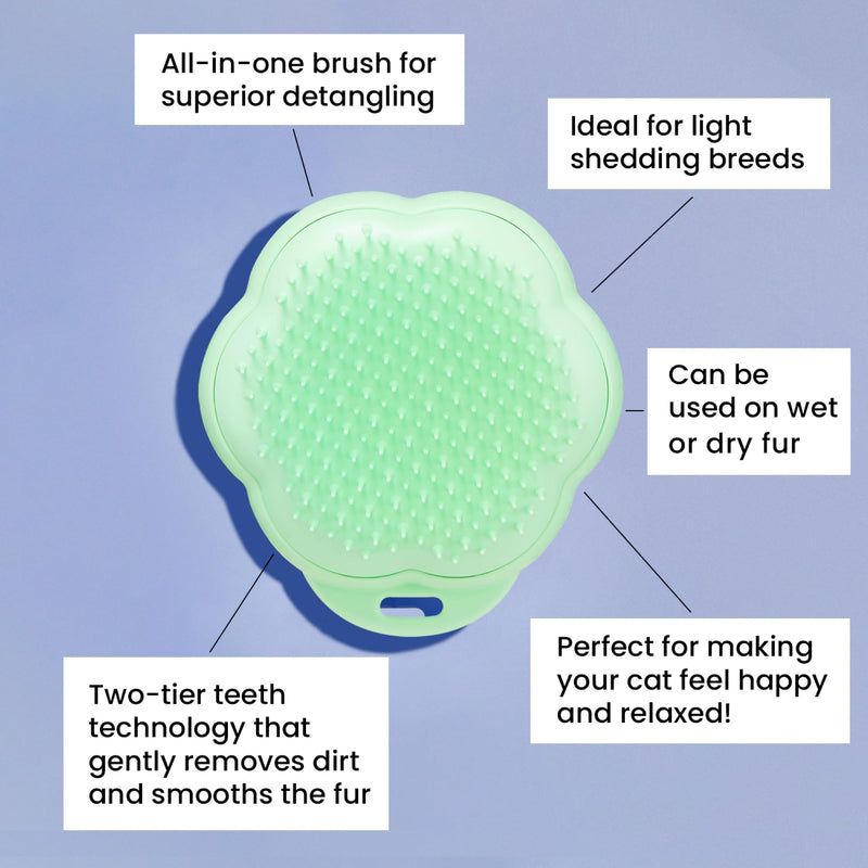 Pet Teezer - Turquoise cat brush, de-mats & gently cares for, ideal for grooming - BeesActive Australia