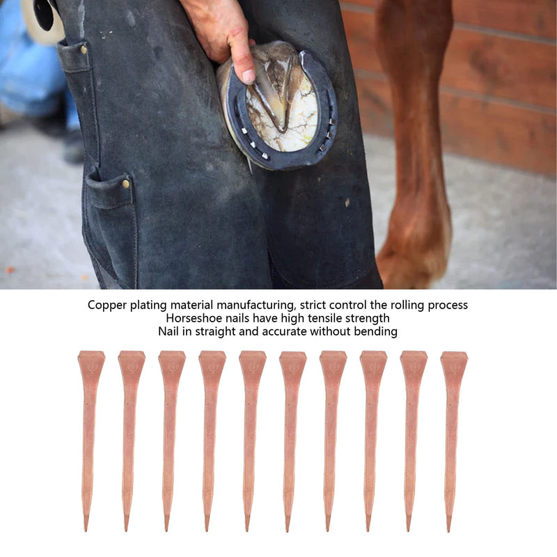Horseshoe Nails, Heavy Duty Horseshoe Nails Copper Plated 250 Pieces for Shoeing (E5slim) - BeesActive Australia