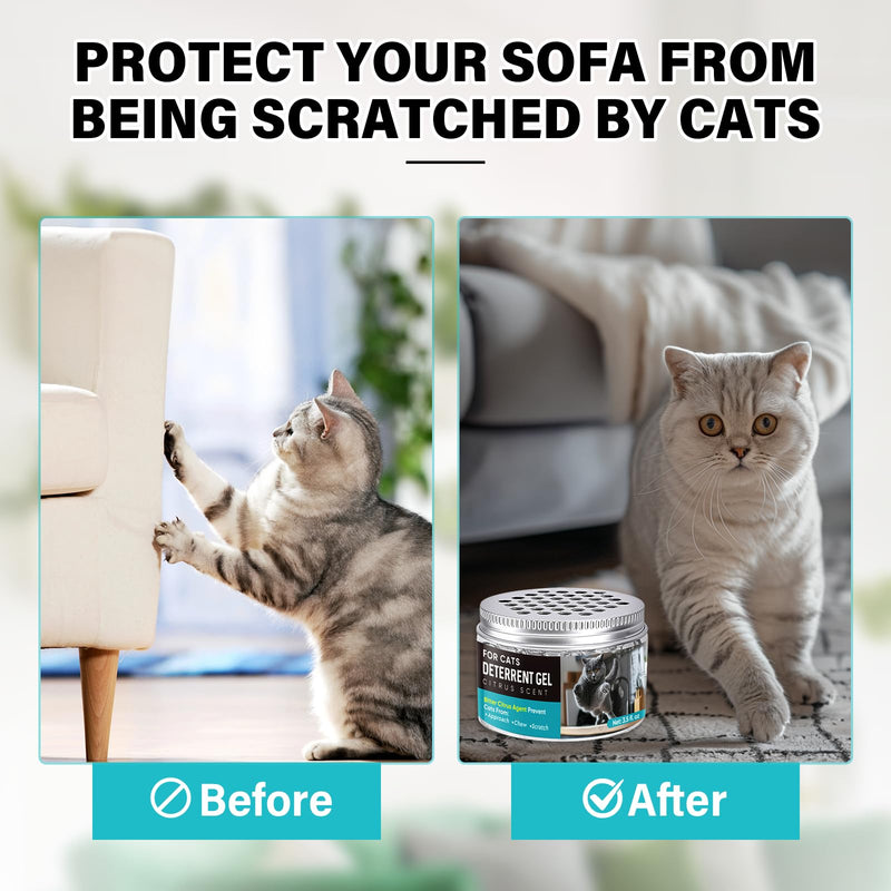Cat Deterrent Gel, Cat Repellent Indoor, Cat Scratch Deterrent for Pet Behavior Training, Prevent Cats Scratching Furniture, Sofas, Curtains & Plants - BeesActive Australia