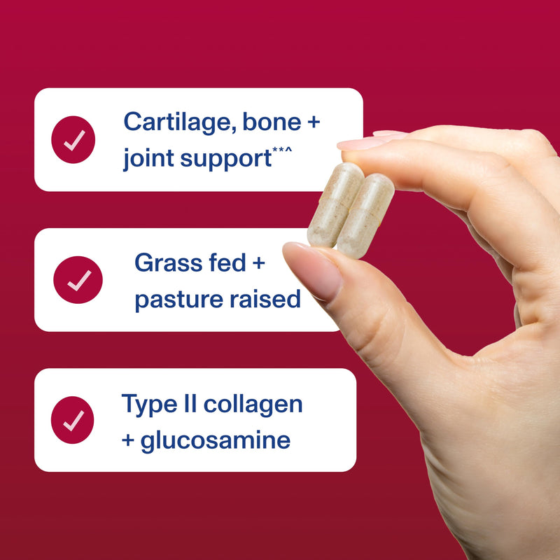 Vital Proteins Cartilage Collagen, Type II, 120 Capsules | Grass-fed Type II Collagen & Chondroitin Sulfate, Supports Joint Health, Hair Skin & Nails, 30 Servings 120 Count (Pack of 1)
