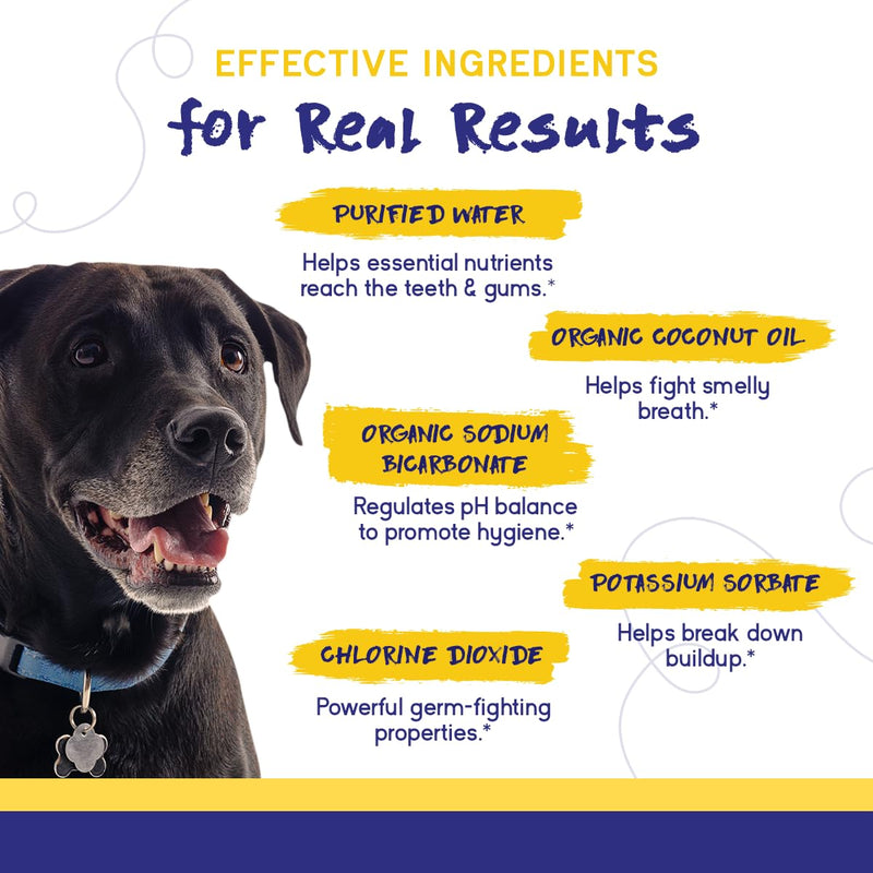 PupGrade Dental Care Water Additive Solution - Advanced Oral Care for Dogs - Dental Rinse for Fresh Breath to Fight Against Bad Breath, Plaque, and Tartar - PawsPlanet Australia