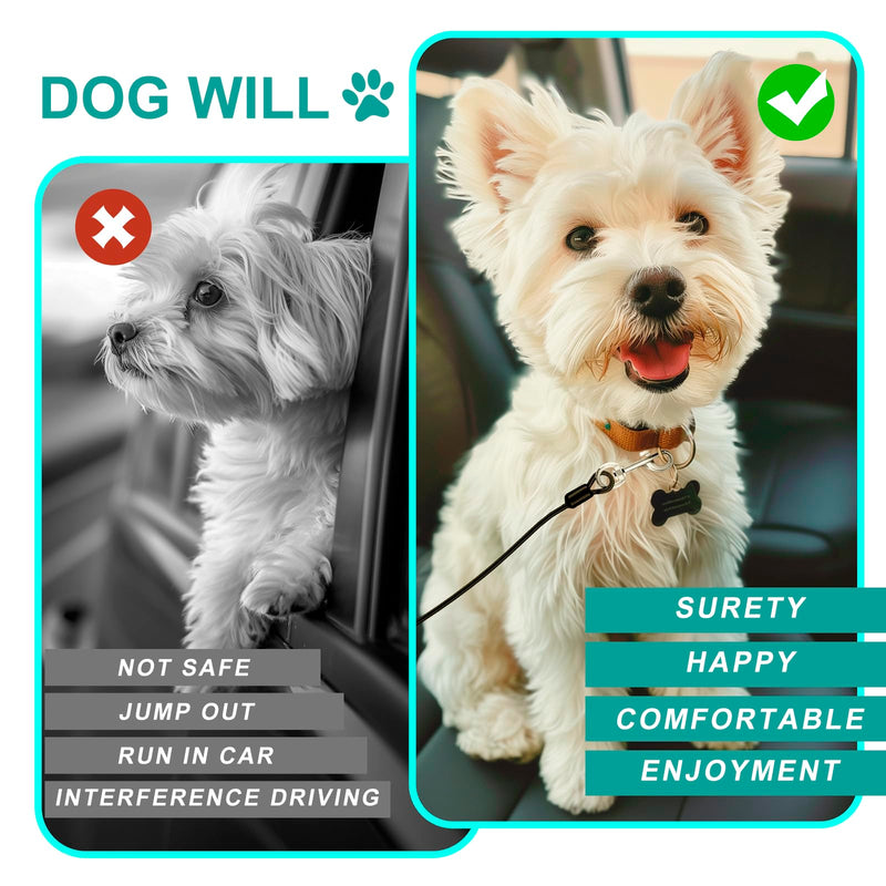 Dog Seat Belt for Car, LApapaye Dog Car Seat Belt, Chew and Tear Resistant, Seat Belt for Dogs in Car, Coated Wire Rope Safety Restraint, Double End with Safety Buckle (Black, 32 Inches) Black - BeesActive Australia