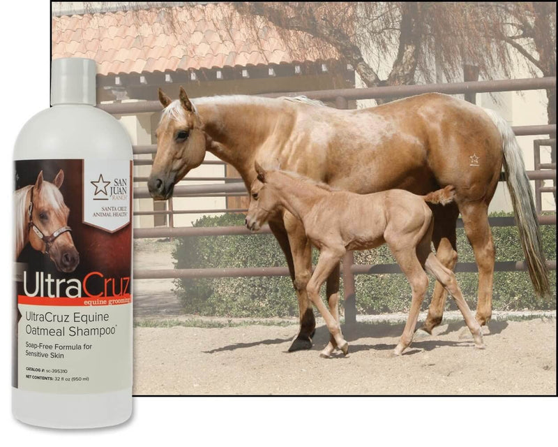 UltraCruz Equine Oatmeal Horse Shampoo, 32 oz,sc-395310,White - BeesActive Australia