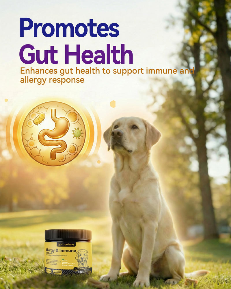 Dog Allergy Relief Chews with Quercetin, Colostrum & Probiotics, 120ct | Daily Allergy & Immune Support for Dogs, Supports Normal Histamine Response, Skin & Coat Comfort, Gut Health