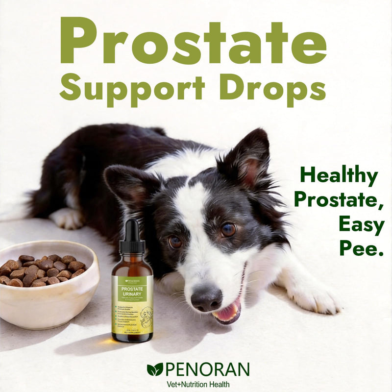 Prostate Urinary Support Drops for Dogs, Saw Palmetto Pumpkin Seed Extract | for Male & Female Dogs & Cats, Supports Bladder & Urinary Comfort, Coat & Hormone Support, Eases Incontinence & Straining