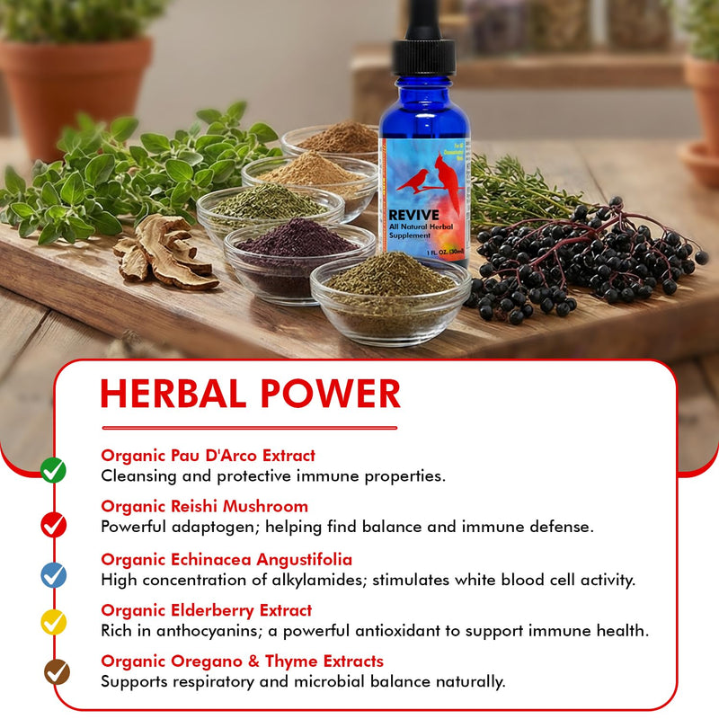 Morning Bird Revive 1 Fl oz – Herbal Extract Blend for Immune Support for Birds - Improved Liquid Formula for Optimum Immune Defense & Faster Absorption - Enhanced Digestive Health, Energy & Wellness