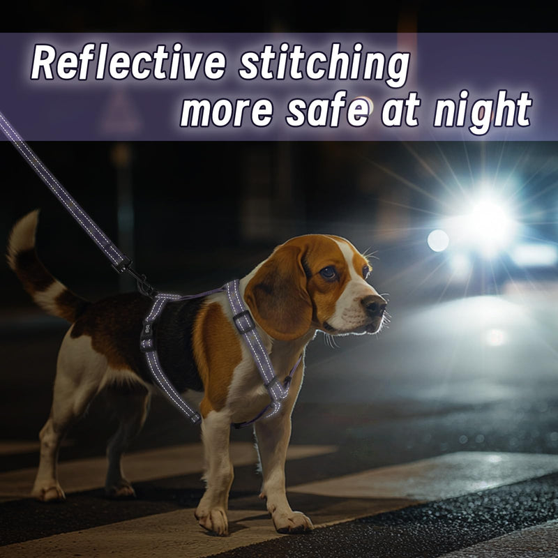 Dog Harness Leash Set, No Pull Adjustable Halter Cute Comfort Padded Handle for Medium Sized Large Small Dogs Walking Training Running with Reflective（Small,Purple） Purple - BeesActive Australia