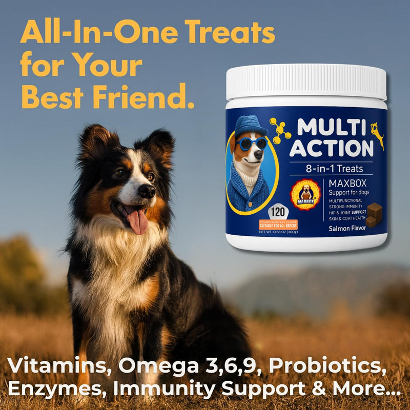 Dog Vitamins with DHA, Probiotics & CoQ10, Dog Supplements for 8-in-1 Multivitamin Treats, Complete Daily Wellness Supports Brain, Heart, Skin, Coat, Immunity, Digestion, Joints & Energy