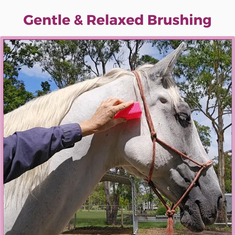 Mane & Tail Horse Brush With Multi Tasking Curry Comb - BeesActive Australia