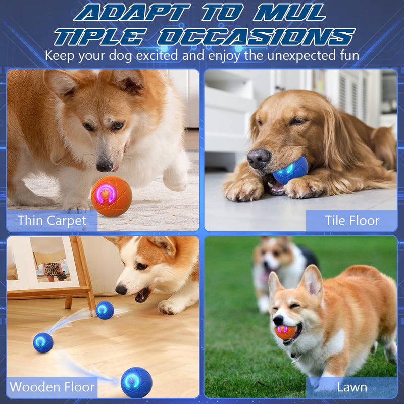 2025 New Shaky Ball Toy for Dogs, Vibrating Dog Ball,Shaking Dog Ball, Interactive Dog Ball,USB Rechargeable Automatic Moving Dog Toy Ball,for Small Medium Large Dogs(2PCS-A) (B) B - BeesActive Australia