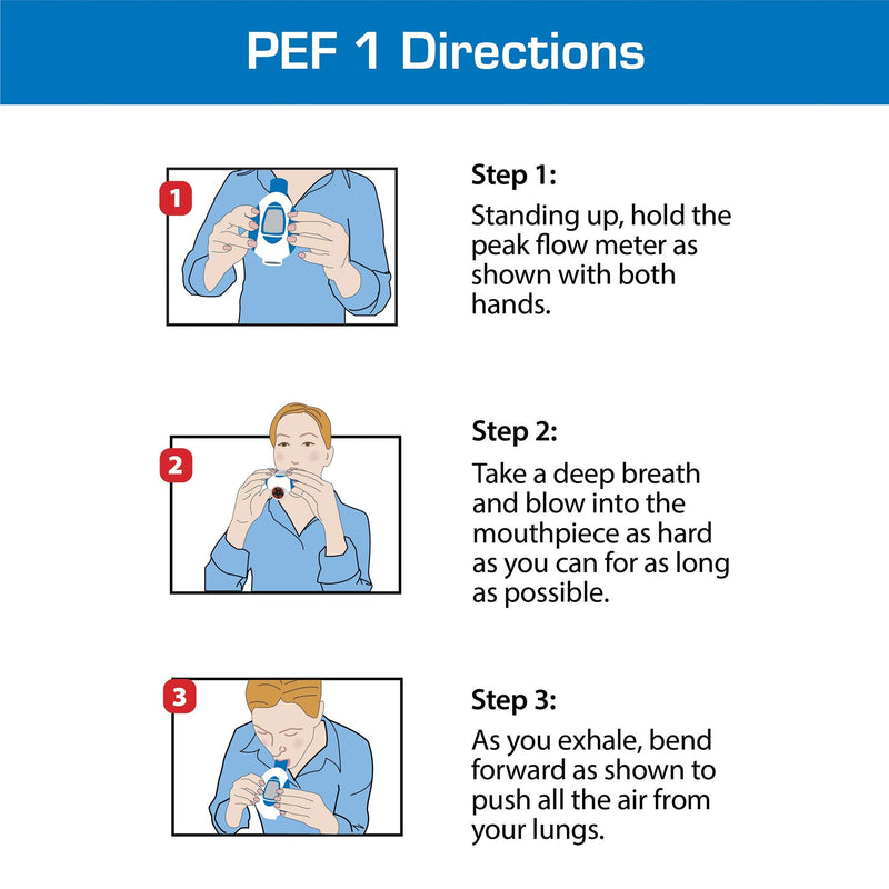 Microlife Digital Peak Flow Meter Tests PEF / FEV1 / Early Detection of Asthma Attacks, (Spirometer for Kids & Adults), Device for Monitoring Asthma, COPD & Other Lung Conditions PF-101 - BeesActive Australia