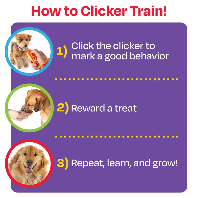Brightkins Smarty Pooch Hot Dog Training Clicker - Dog Training Clicker, Perfect for Dog Training and Obedience Games - BeesActive Australia